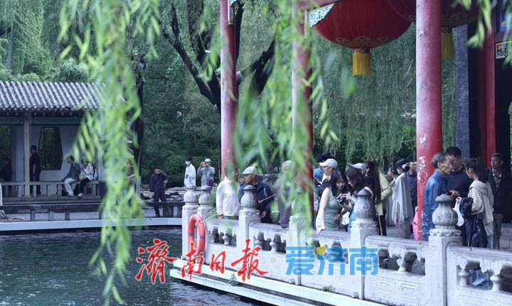水位稳居29米以上，雨中赏“趵突腾空”
