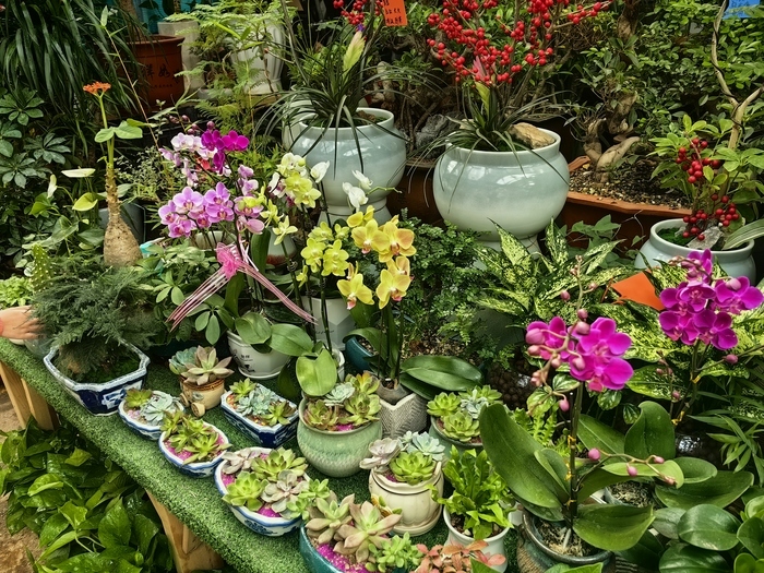 771e23629830d4068648ef98b9885de9