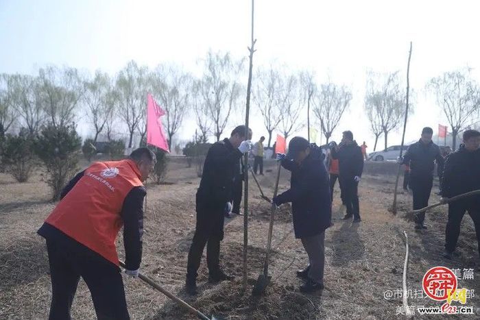 植绿护绿·共筑美好家园  济南市机械化清扫大队组织开展义务植树活动