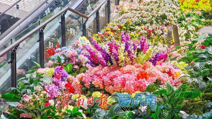 持续焕新！济南老商埠以“打卡点升级”激活百年街区活力