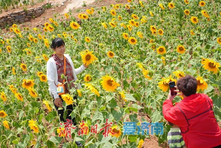 一年四季 泉在济南丨千年雄关花海盛放，古长城焕发新生机