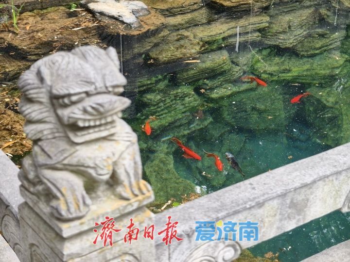 假期迎赏名泉热潮！缎华泉山水引客流连