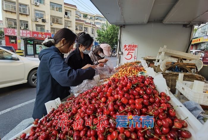 “果盘子”上新啦！济南樱桃集中上市，价格亲民美味诱人