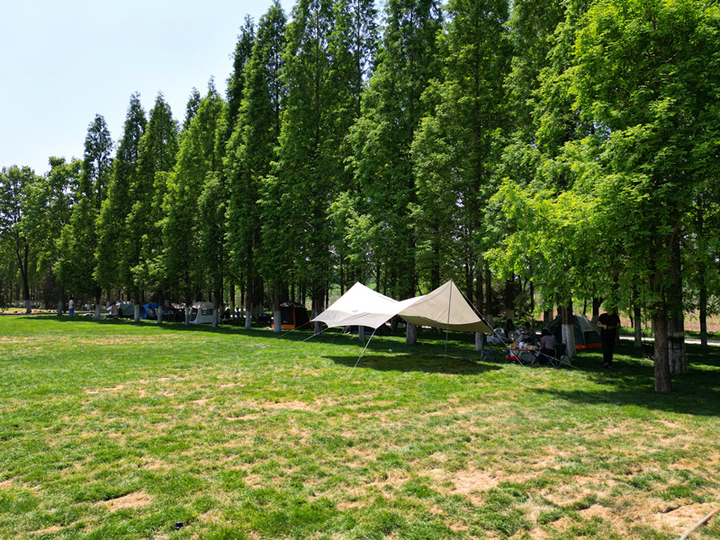 新晋打卡地！济南鲜花港万平花海美到炸