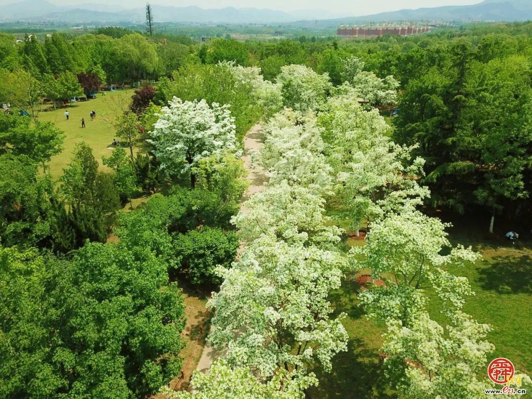 一年四季 泉在济南｜