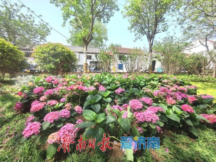 泉城老街着新装，色彩缤纷迎“五一”