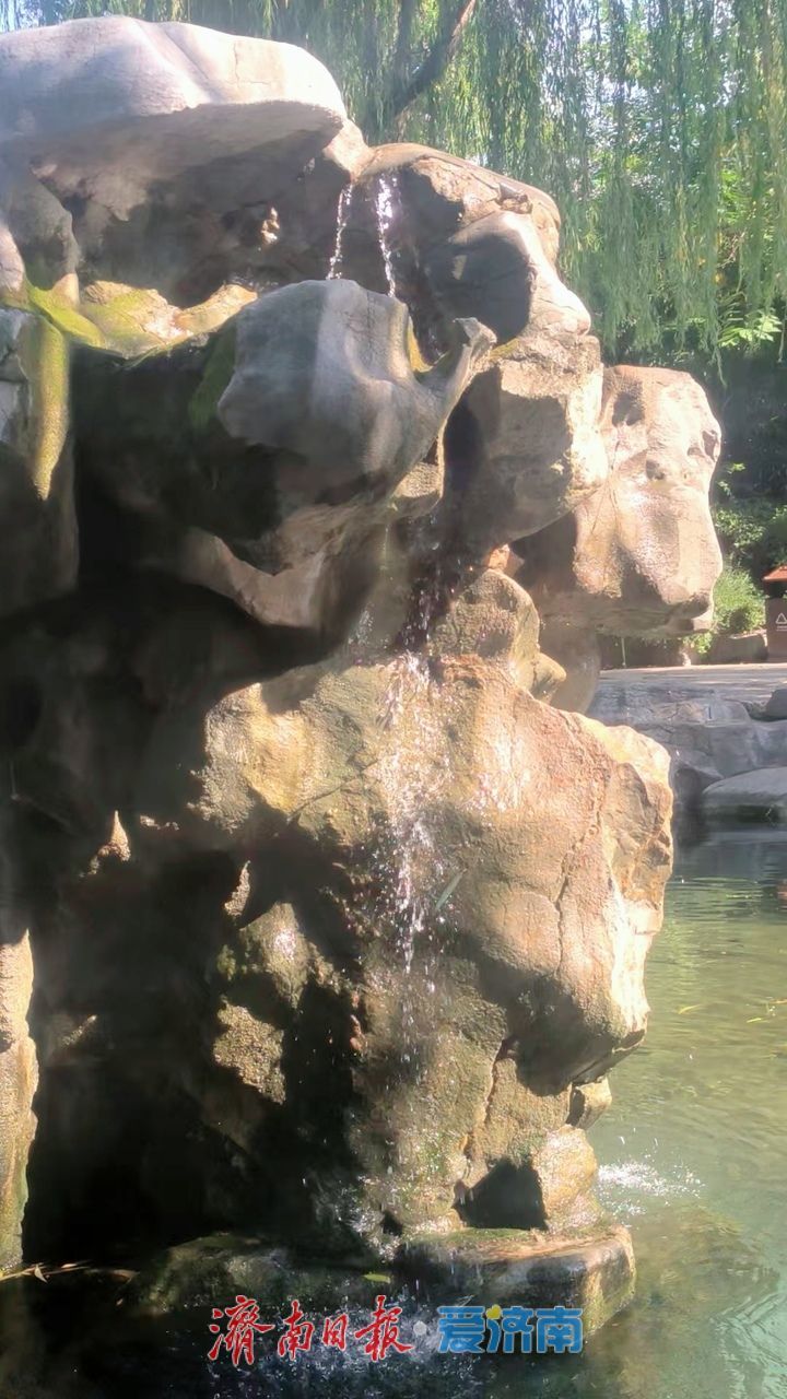 趵突泉水位再度攀升，“月牙”复涌引千泉竞喷