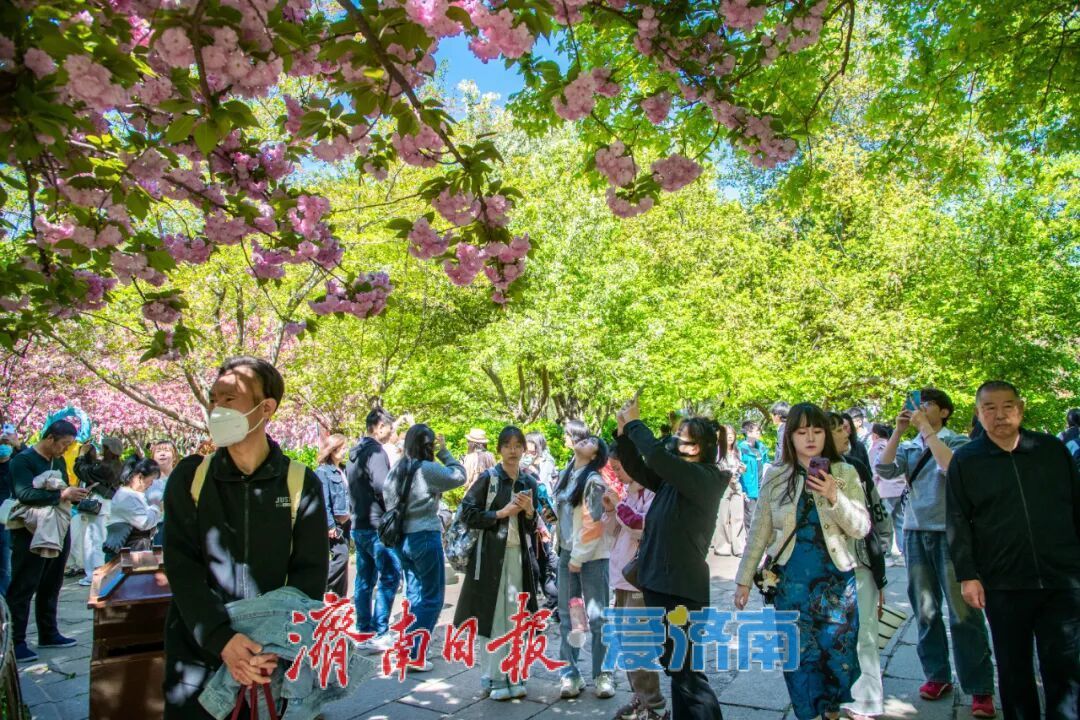 天下第一泉风景区清明假期人气爆棚，千年泉韵绽风华