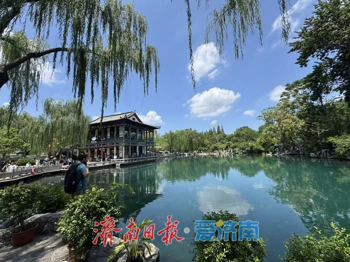 碧空如洗映龙潭 泉水绿树绘就泉城夏日画卷