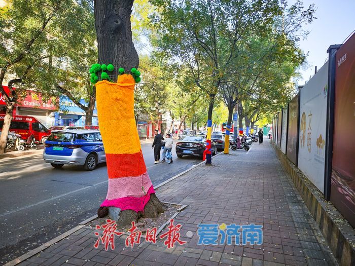 经四路树木“换新装”，萌趣针织艺术点亮城市街角
