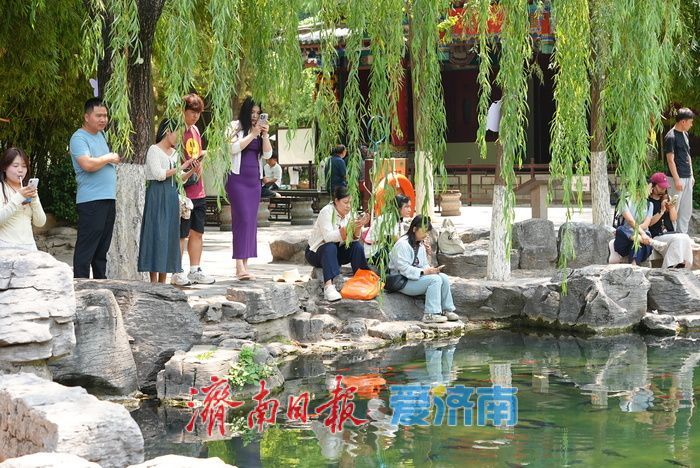 一年四季 泉在济南丨“泉如其名”，畅享无忧泉畔惬意时光