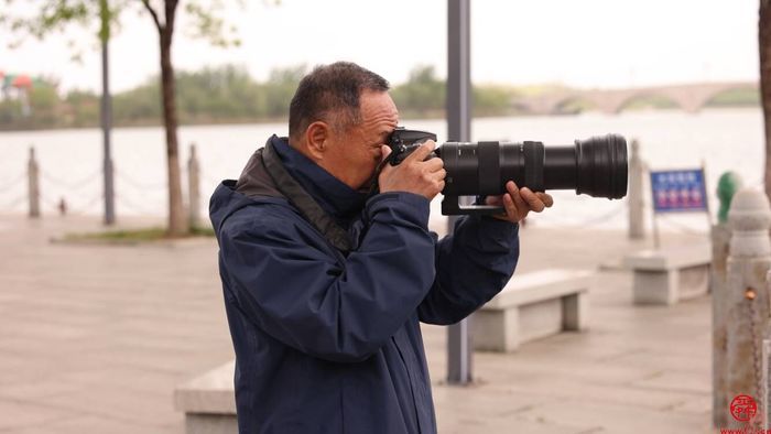 跟着鸟儿看济南②：风暖草木香 莫负鸟鸣声