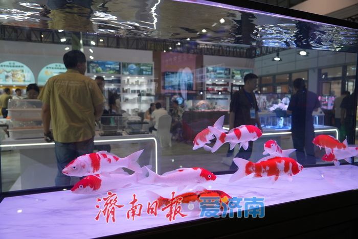 中国（山东）国际宠物水族用品展热闹非凡，科技与生态引领行业新趋势