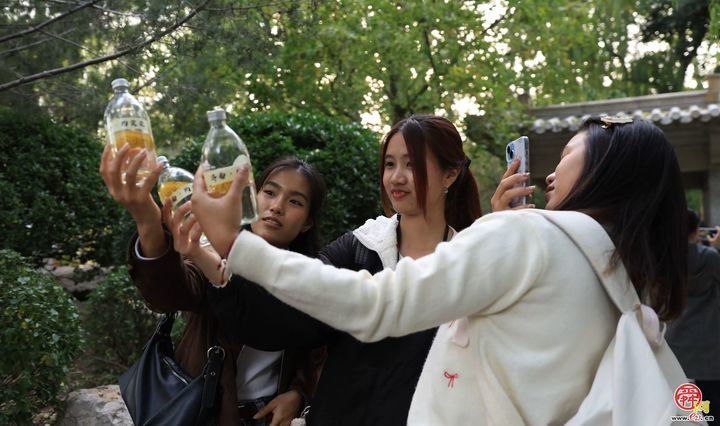 外眼看济南｜一条水路，千年泉韵：从趵突泉到大明湖的CityWalk