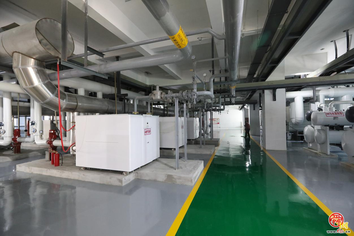 十年革新·“热”路生花