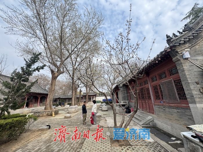 一年四季 泉在济南丨春日崇孝苑 古韵伴春光