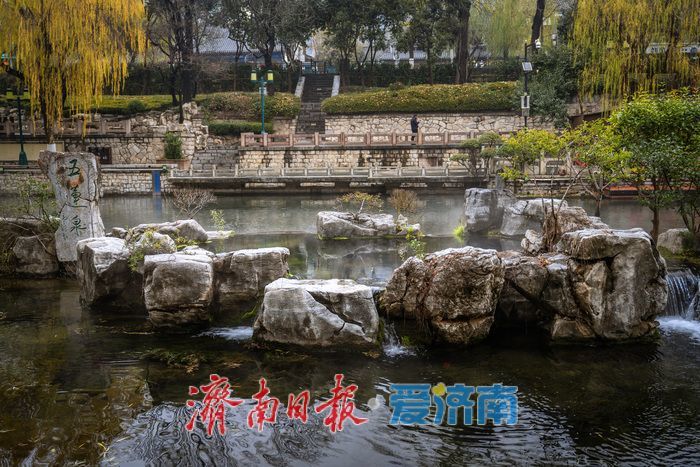 一年四季 泉在济南丨济南黑虎泉冬日云雾润蒸：清泉伴柳，仙境入画