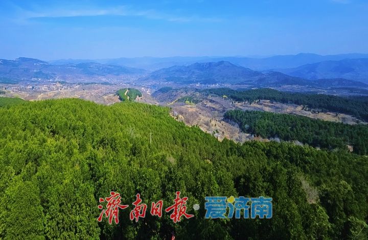 一年四季 泉在济南丨济南南部山区满目翠绿映山峦