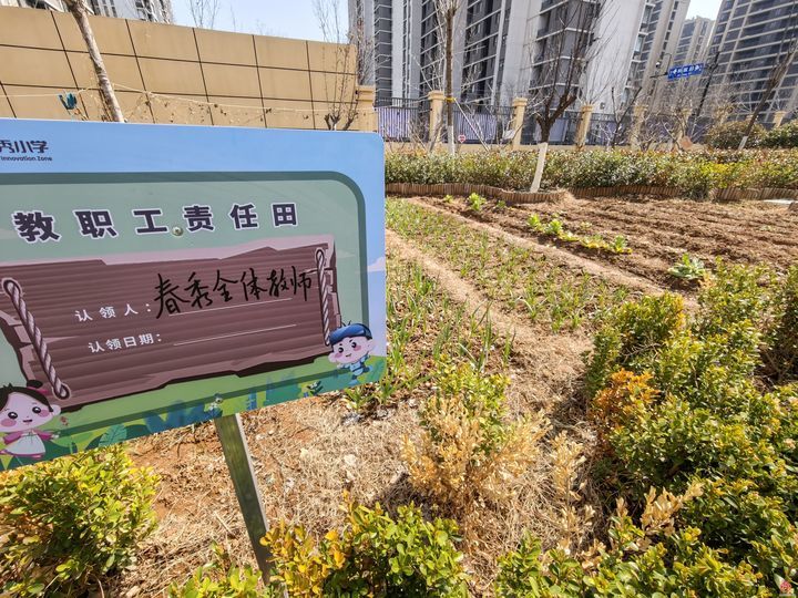 春分启新程 文化润成长 多校开展春分教育活动