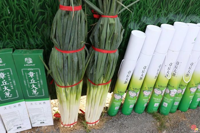 “这里是章丘！”·美食篇·龙山