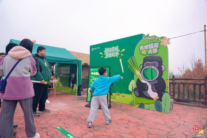 济南一山东明“猩”开启冬季大葱盛宴