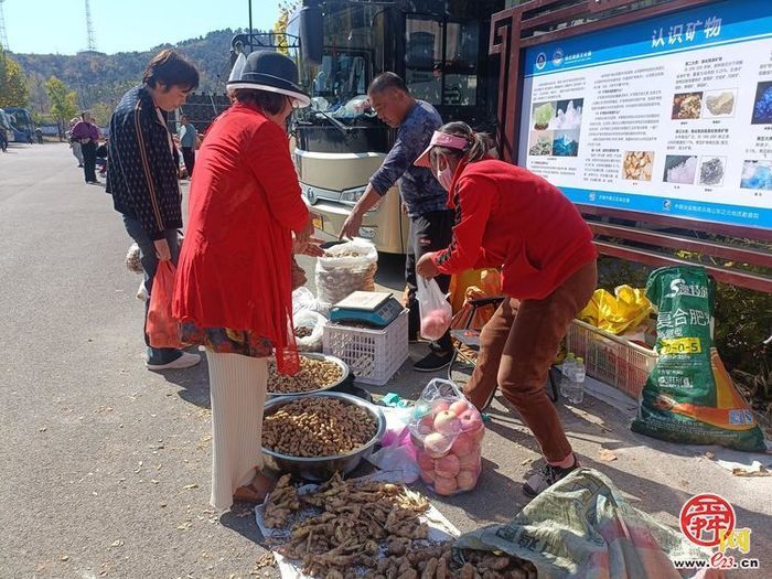 垛庄镇：秋意浓文旅热，“漫山红叶”引领赏秋新风尚
