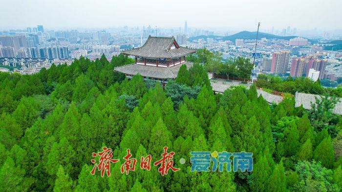 郎茂山公园：城市中的自然氧吧，市民休闲新选择