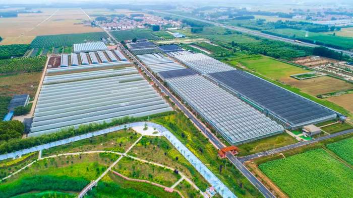 为了大地的丰收！