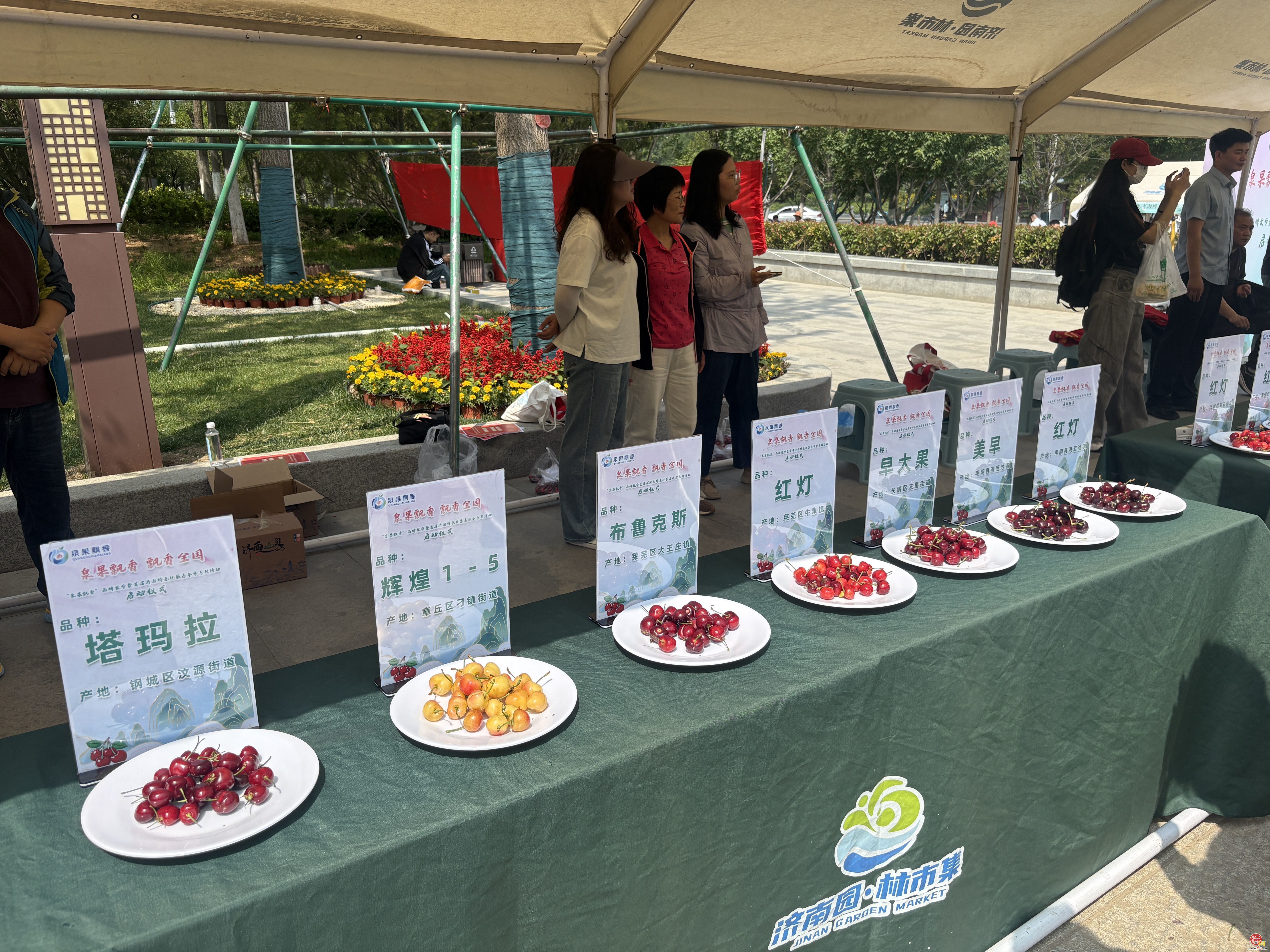 “泉果飘香”品牌发布暨首届济南特色林果嘉年华系列活动启动