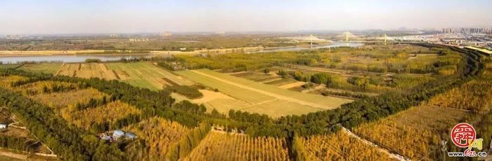 乘风破浪，再约槐马！2025槐荫黄河生态半程马拉松开跑