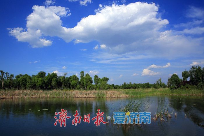 入选省级美丽河湖典型案例！看济南玉符河如何从“城郊疮疤”蝶变为“城市客厅”