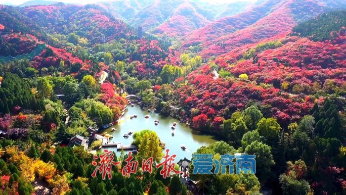 红叶谷第二十六个秋天如约而至 静待万山红遍与你的到来
