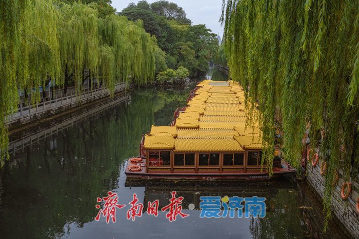 一年四季 泉在济南｜雨后黑虎泉畔，市民取水赏景尽享清凉