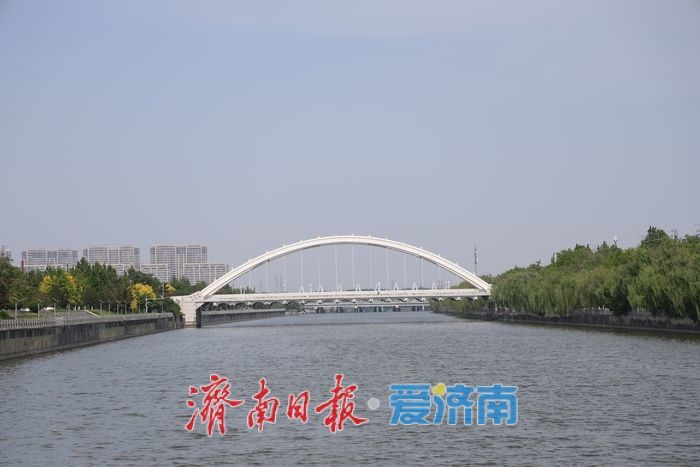 一年四季 泉在济南｜暮春赴约小清河 鸢尾花开醉泉城