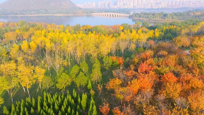 初冬时节，济南华山历史文化湿地公园烂漫秋色还未褪去，美不胜收