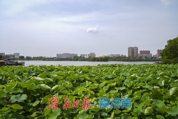 一年四季 泉在济南 