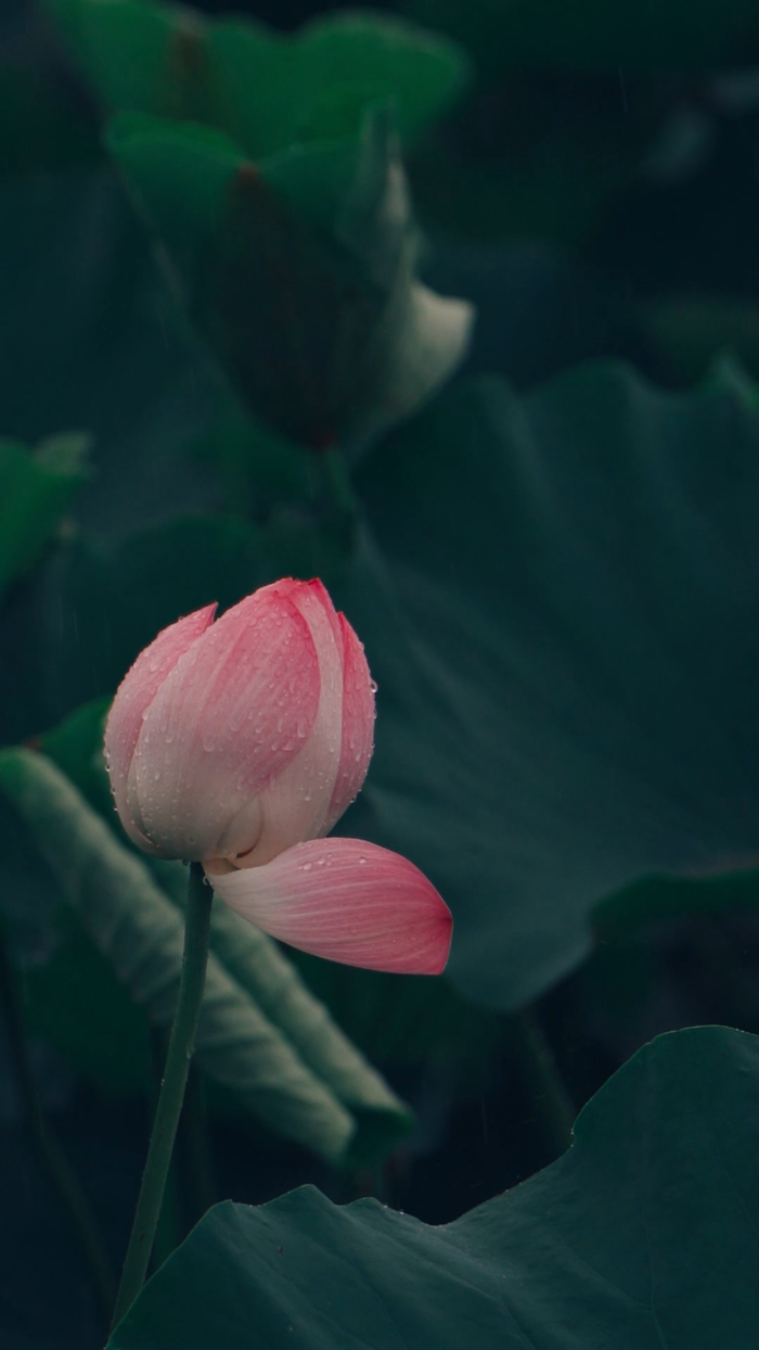 在华山邂逅现代版的“孤舟蓑笠翁”