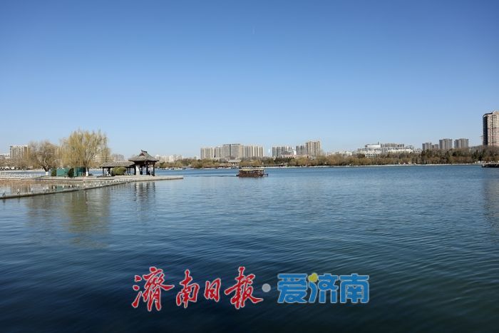 新柳残荷绘就明湖初春画卷