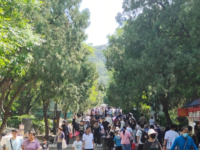 “泉”在济南过五一｜五一假期，济南9家市属公园纳客85.56万人次，千佛山、动物园、森林公园位列前三位