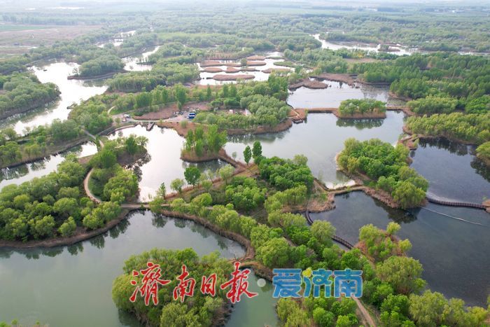 “城市绿肺”尽显春日生态美