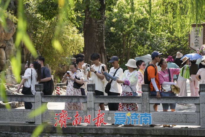 泉城夏日“炎值”爆表，市民游客泉畔觅清凉