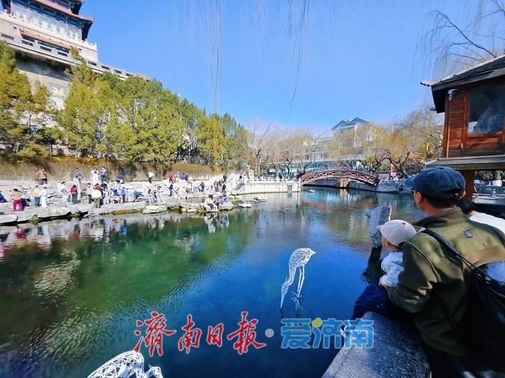 一年四季 泉在济南丨泉水欢涌迎客来 济南泉水游持续火爆