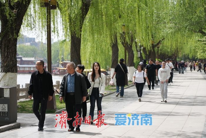 画舫悠悠柳色新，谷雨时节邂逅大明湖畔的春日诗画