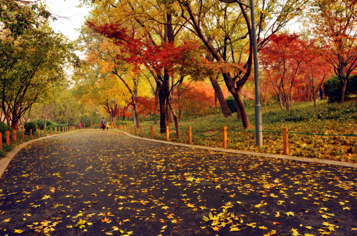 秋日限定！济南公园景区邀你共赴美好之约