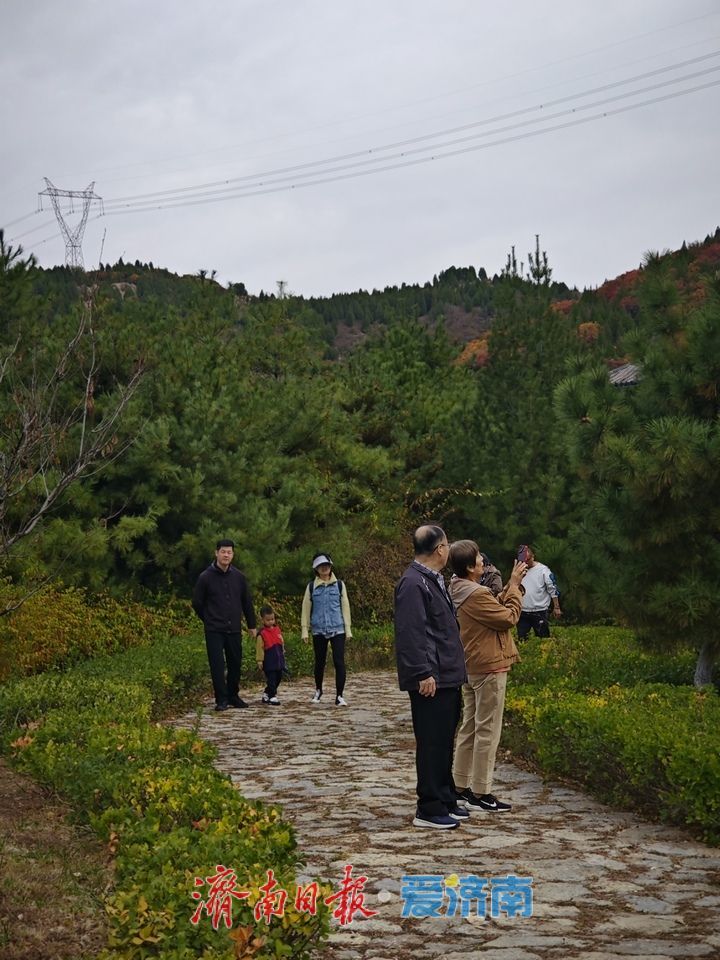 告别网红打卡扎堆 济南秋日亲子游偏爱山野松弛感