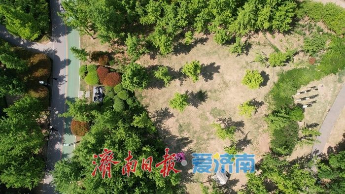 济南森林公园绿意浓，暮春时节展生机