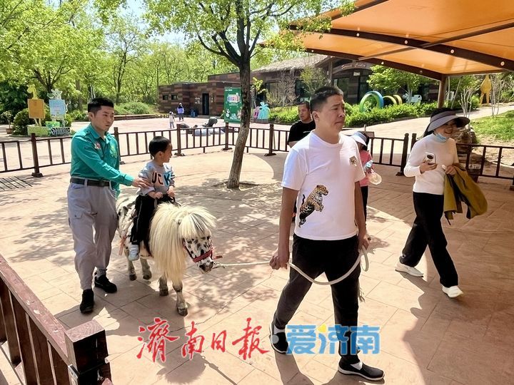 一年四季 泉在济南｜济南野生动物世界人气爆棚