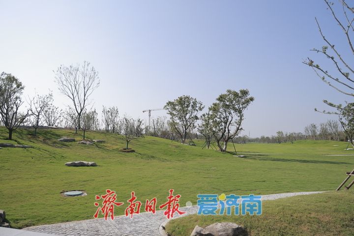 鹊山生态文化区（一期）项目加速推进