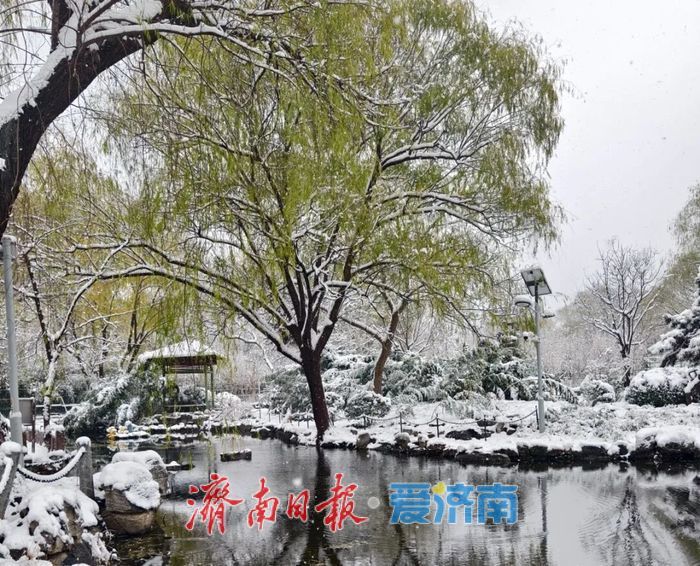 雪漫济南府 九景入画来