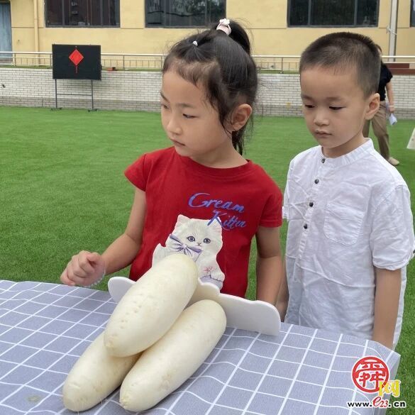 开笔启智 礼润童心——济南市北苑小学迎新活动